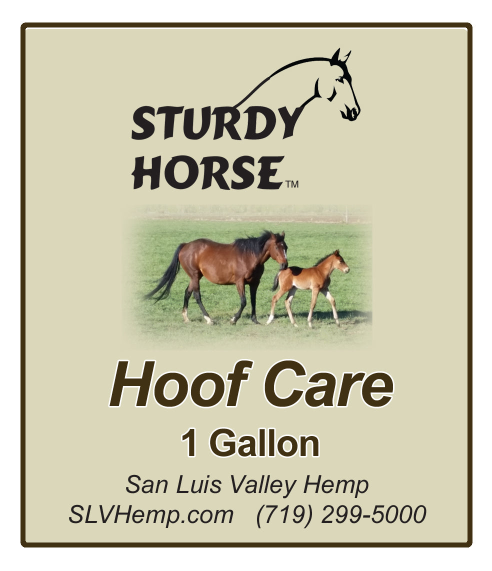 Hoof Care | The Sturdy Horse